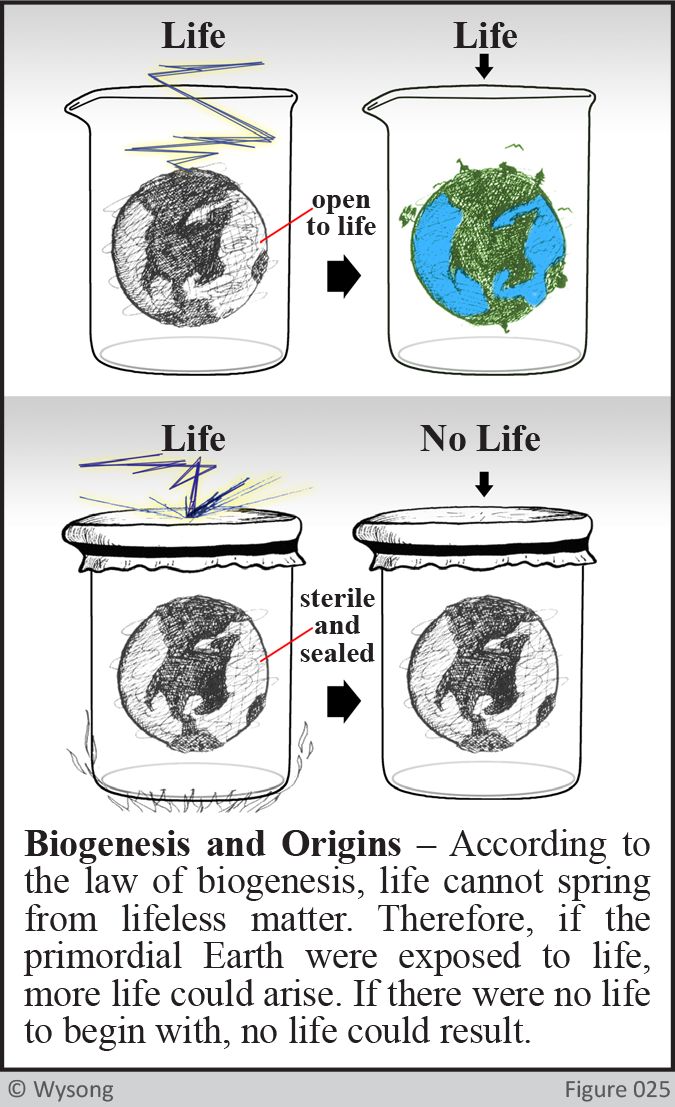 biogenesis and origins