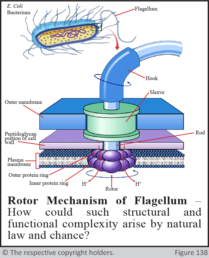 rotor mechanism