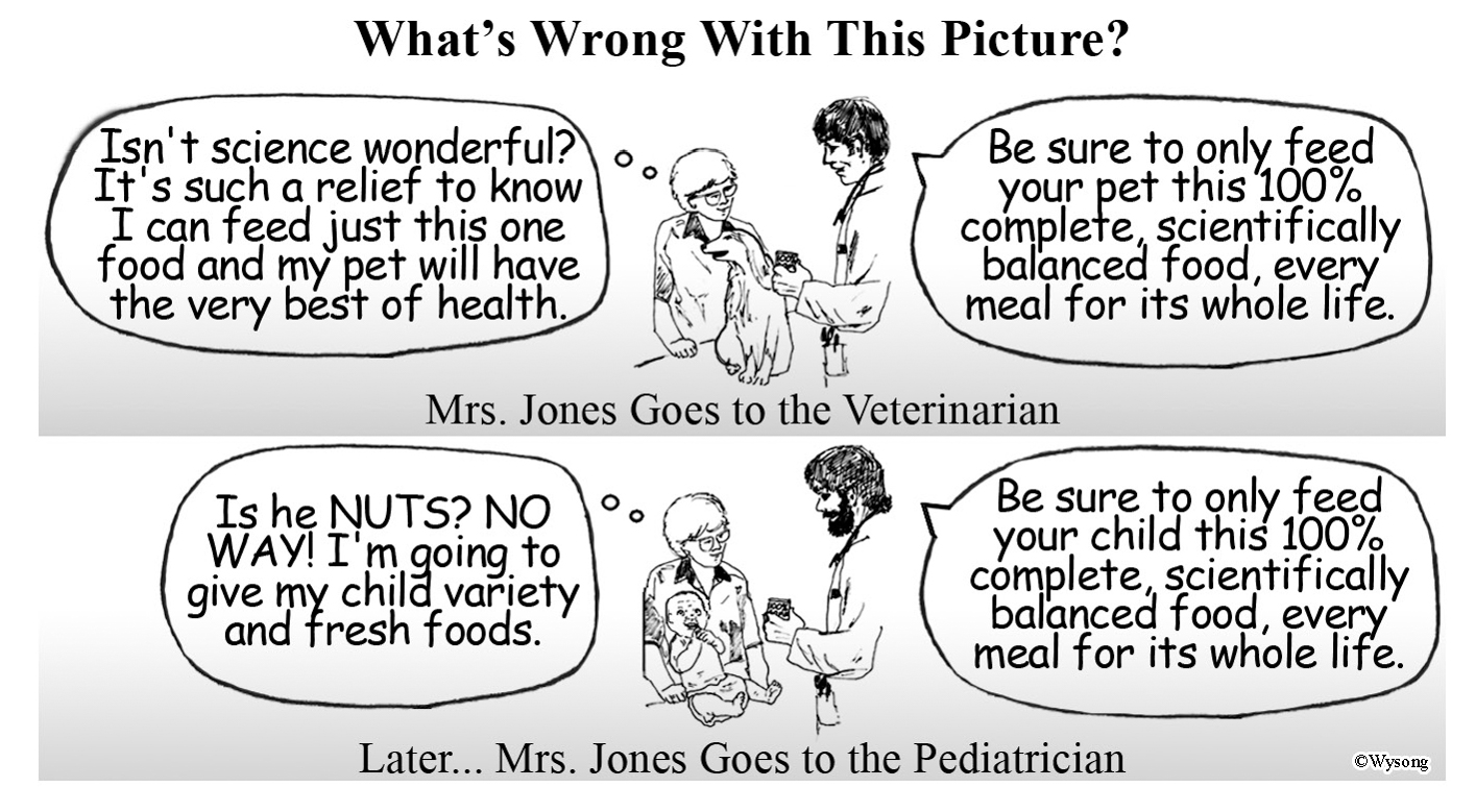 vet vs pediatrician